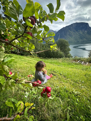 Emelie om trädgård, sommar och recept på zucchinikakor