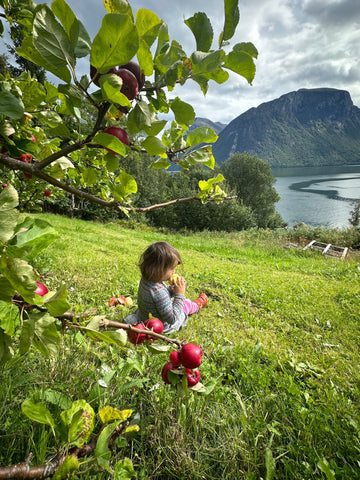 Emelie om trädgård, sommar och recept på zucchinikakor