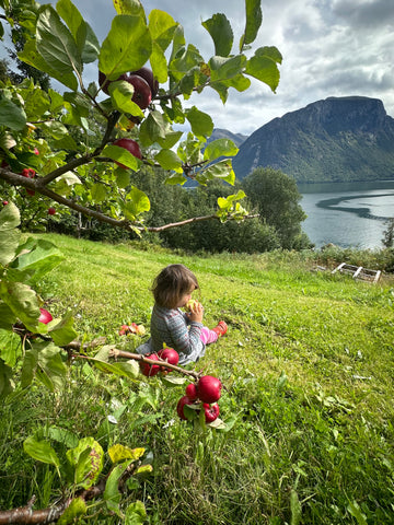 Emelie Forsberg: Trädgårdsuppdatering och zucchinikakor!