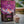 Ett glas med Moonvalley Post-Workout Mix blandas med vatten.